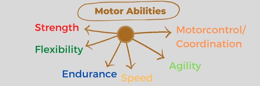 This infographic shows all the 6 motor abilities which make up human movement.