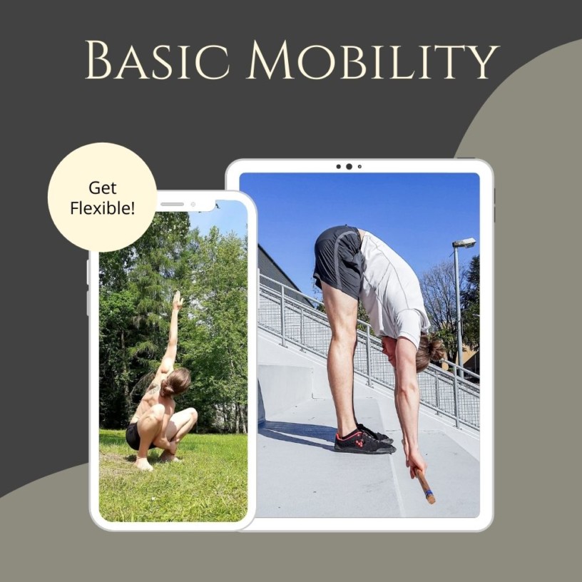 Basic Mobility Product Image