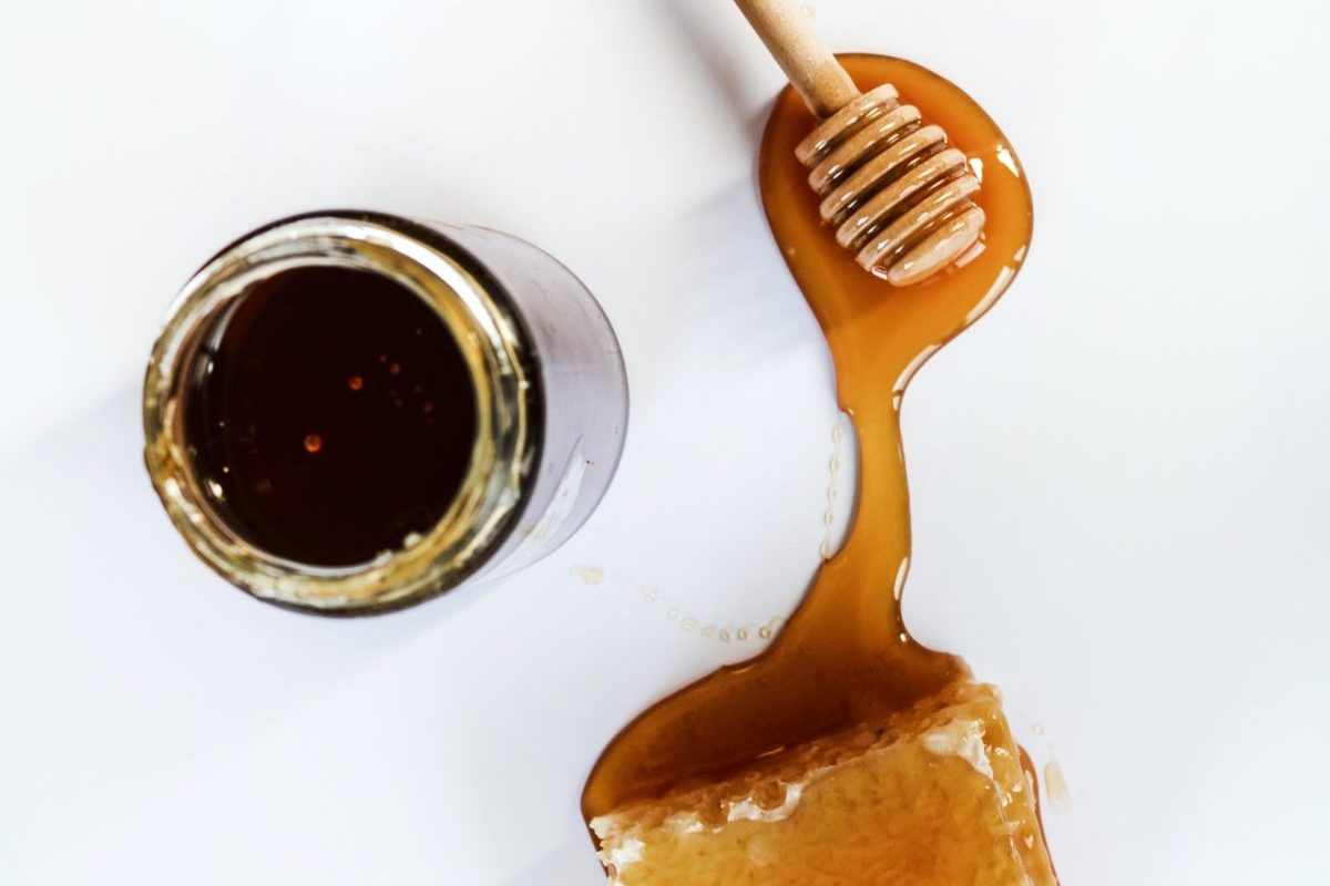 Honey from bees is a great food, and can even be found in nature. It is a raw and ancestral source of seasonal available carbohydrates.