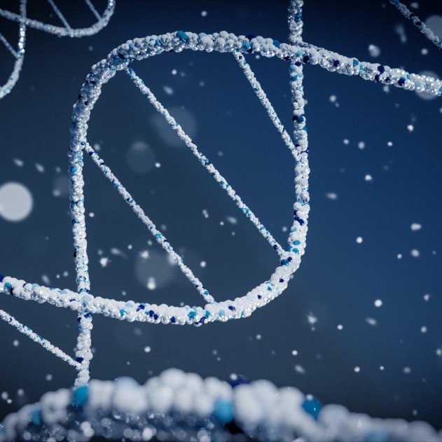 This image shows a DNA double stranded helix.